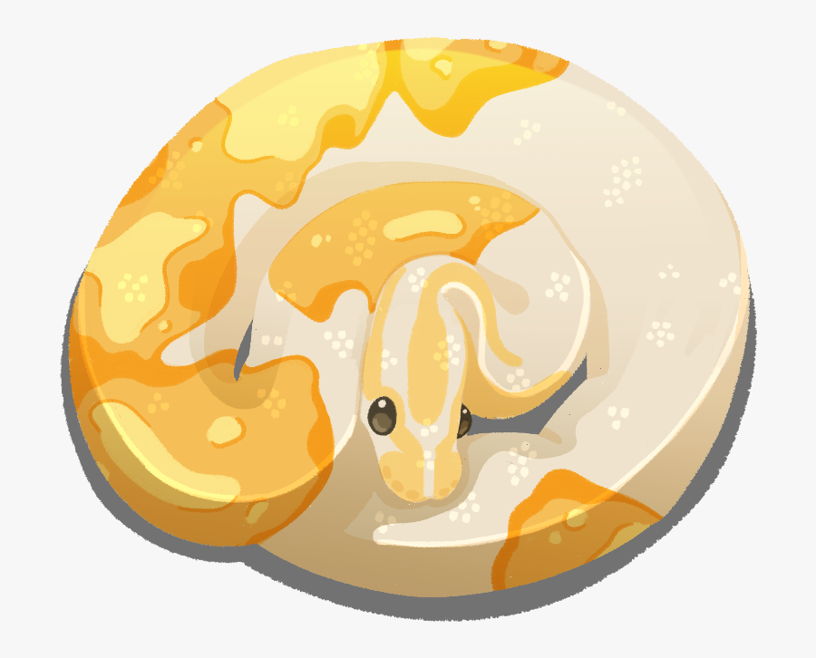 Snefbun - Ball Python Designs Logo , Free Transparent Clipart - ClipartKey
