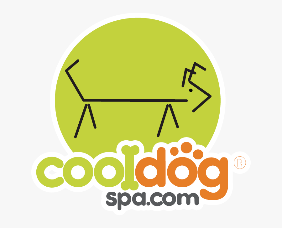 Transparent Cool Cat Png - Circle, Transparent Clipart