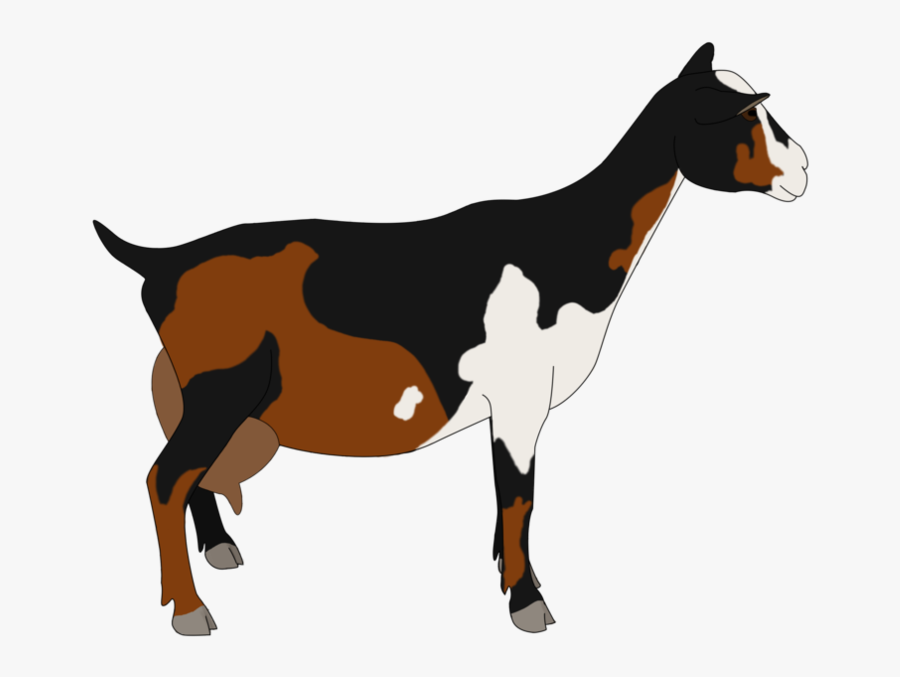 Collection Of Free Goat Drawing Nigerian Dwarf Download - Drawings Of Nigerian Dwarf Goats, Transparent Clipart