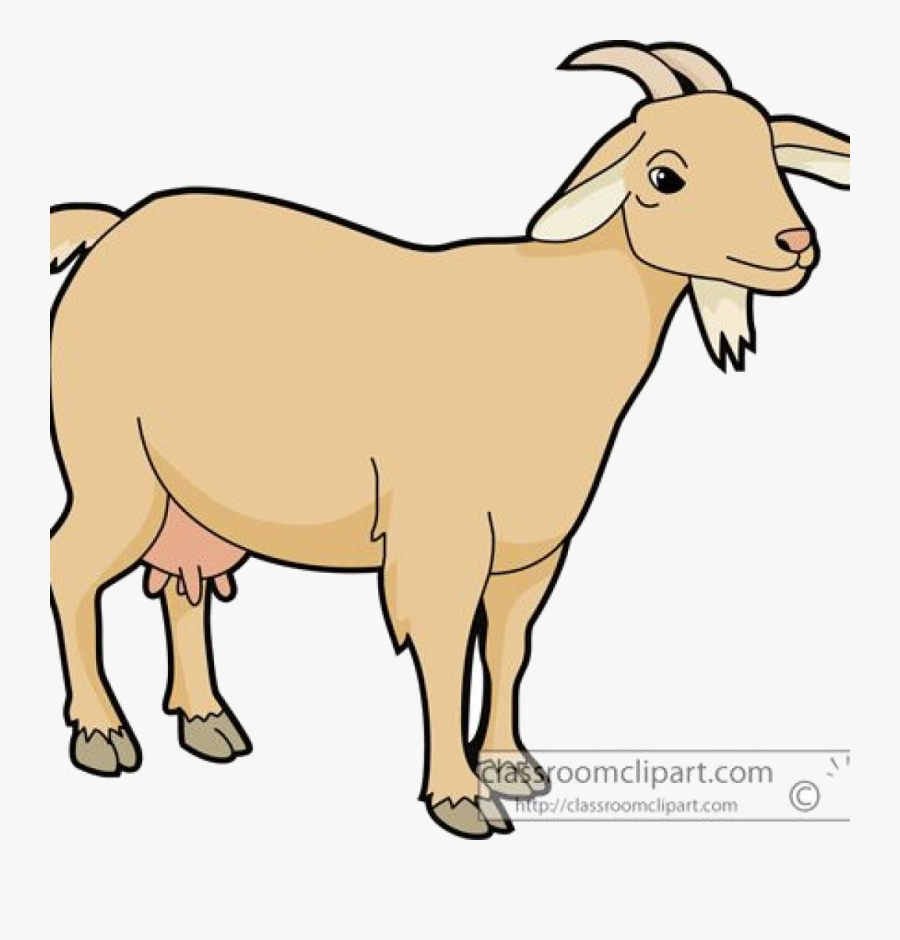 Goat Clipart To Clipartcow Goats Transparent Png - Goat Clipart Transparent Background, Transparent Clipart