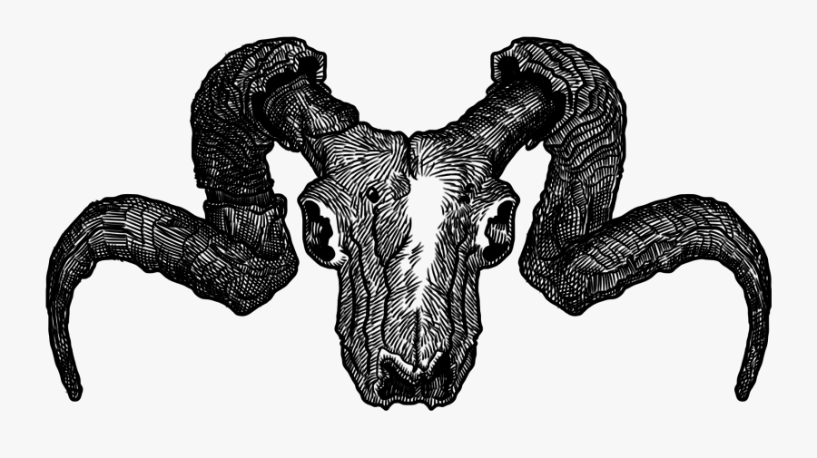 Skull Png Tumblr -saos Goat Skull 2012 08 14 01 56 - Illustration, Transparent Clipart