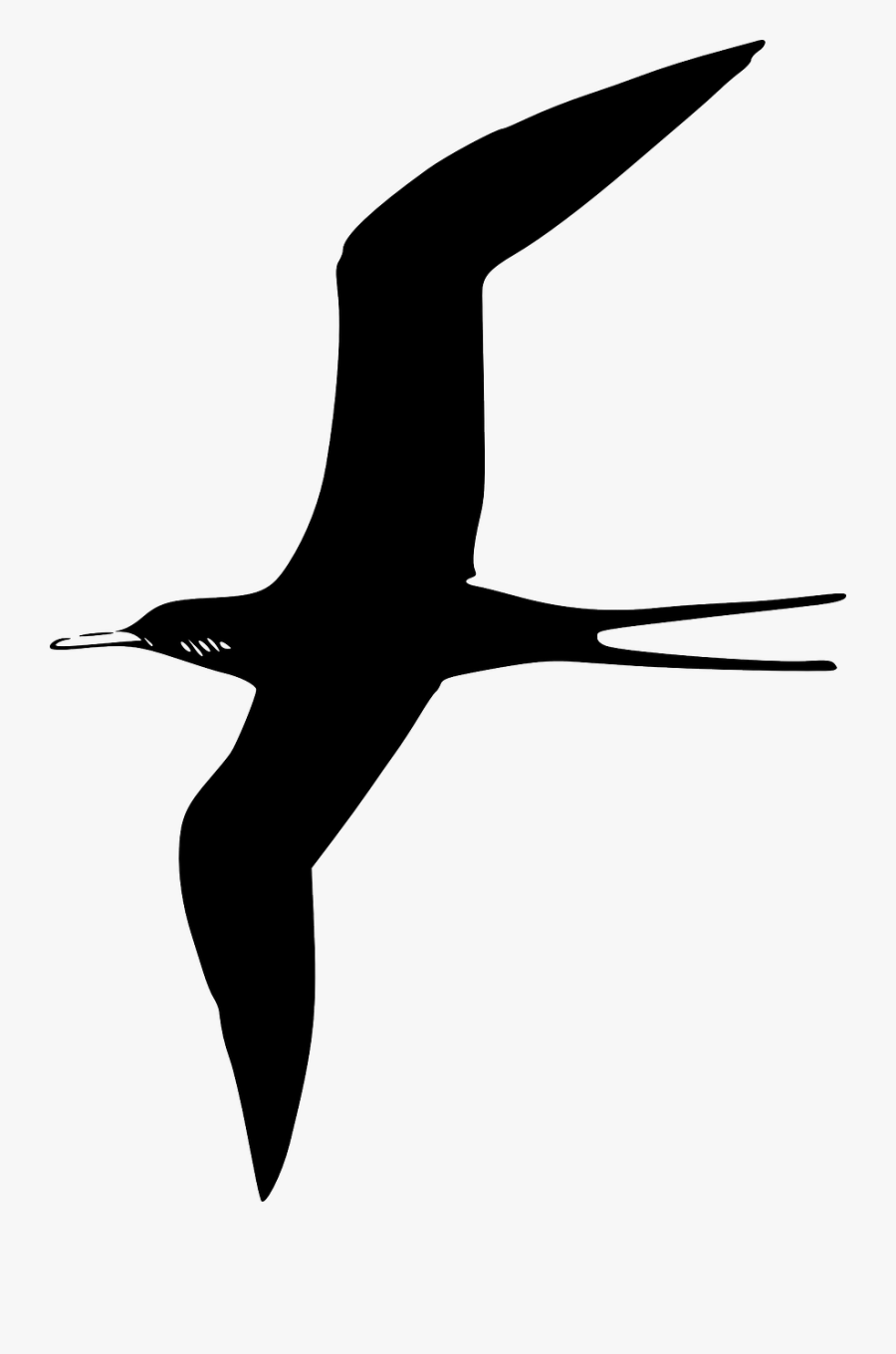 Bird Clip Art Black, Transparent Clipart