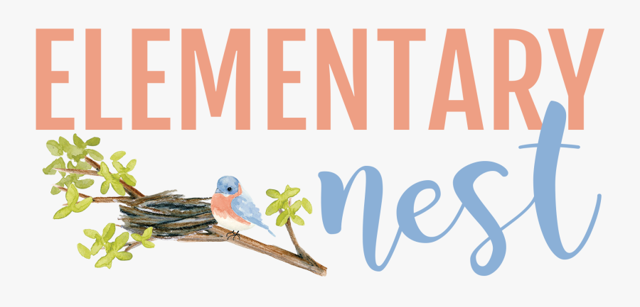 Elementary Nest - Budgie, Transparent Clipart