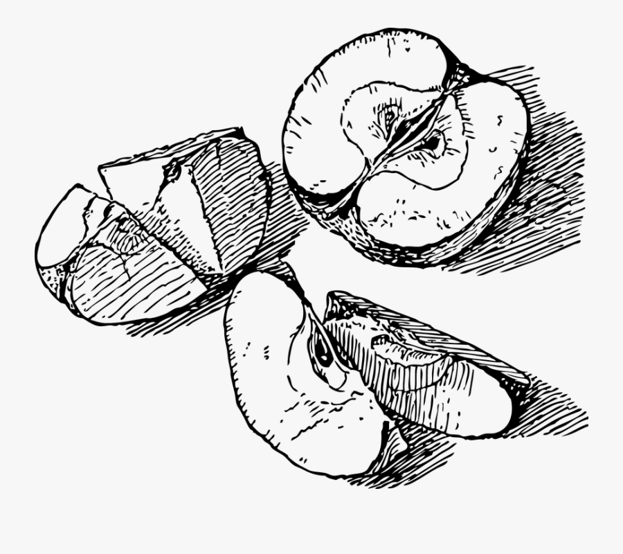Drawn Apple Epal - Apple Slice Drawing Png, Transparent Clipart