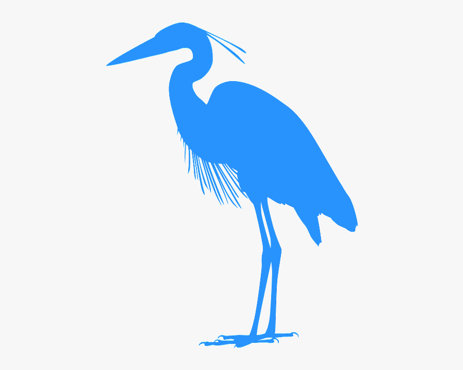Great Blue Heron Outline, Transparent Clipart
