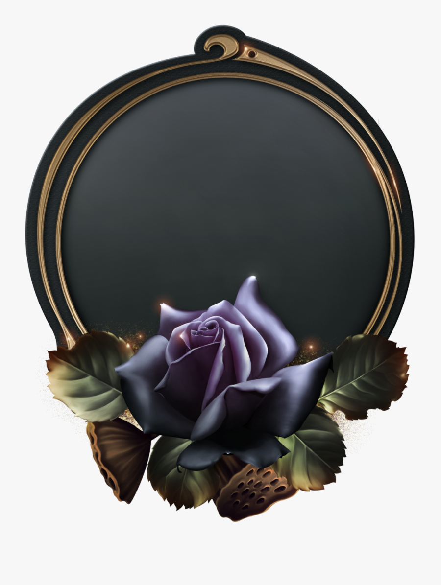 Gothic Rose Png - Garden Roses, Transparent Clipart
