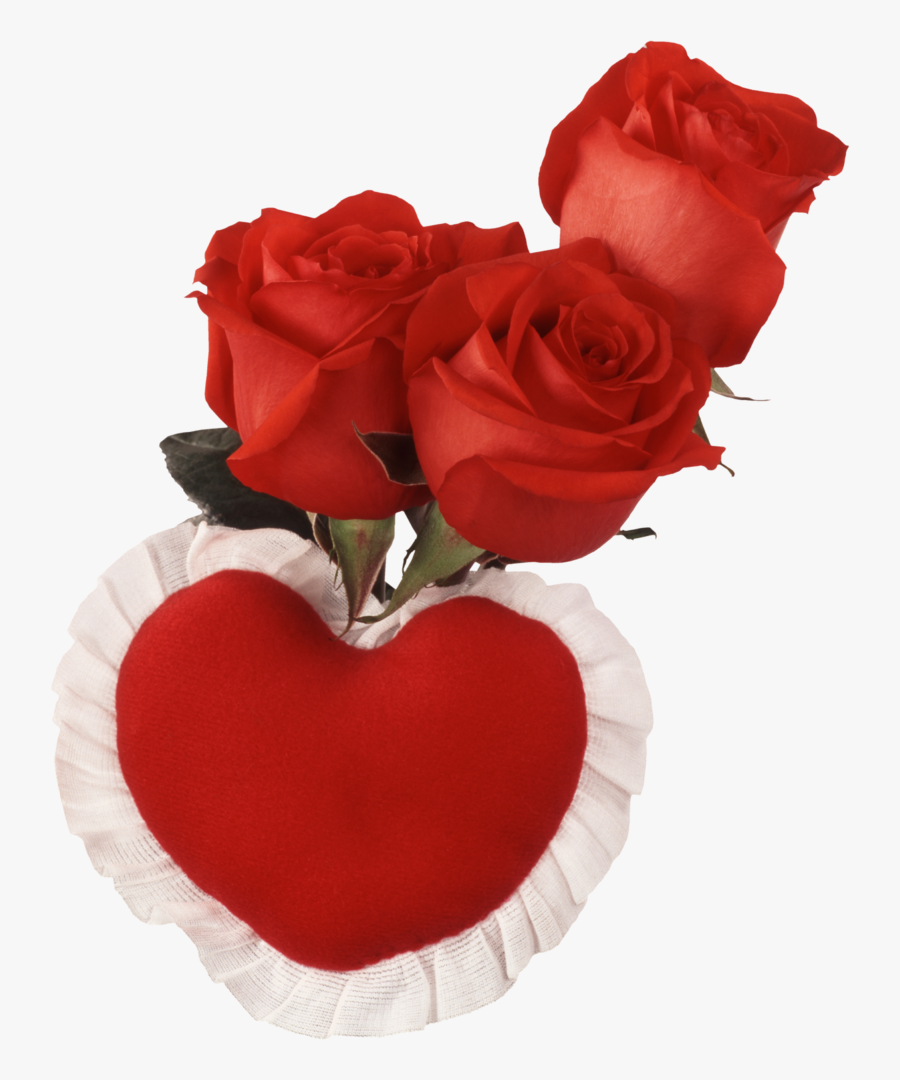 Red Heart And Roses - Love You Images With Name, Transparent Clipart