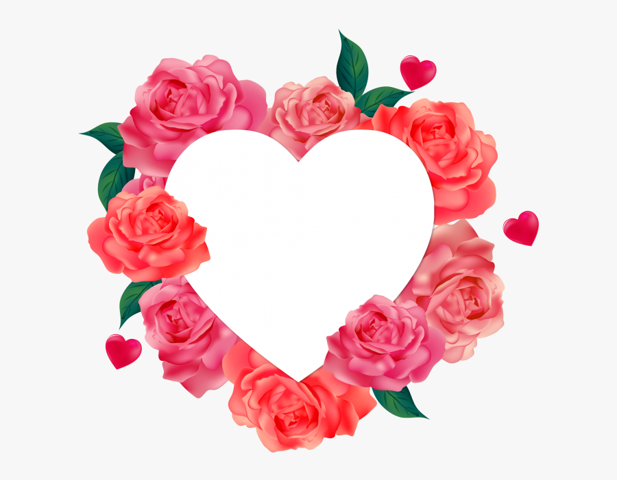 Rose Heart Valentine Background Png Free Download Searchpng - November Born Love Life, Transparent Clipart