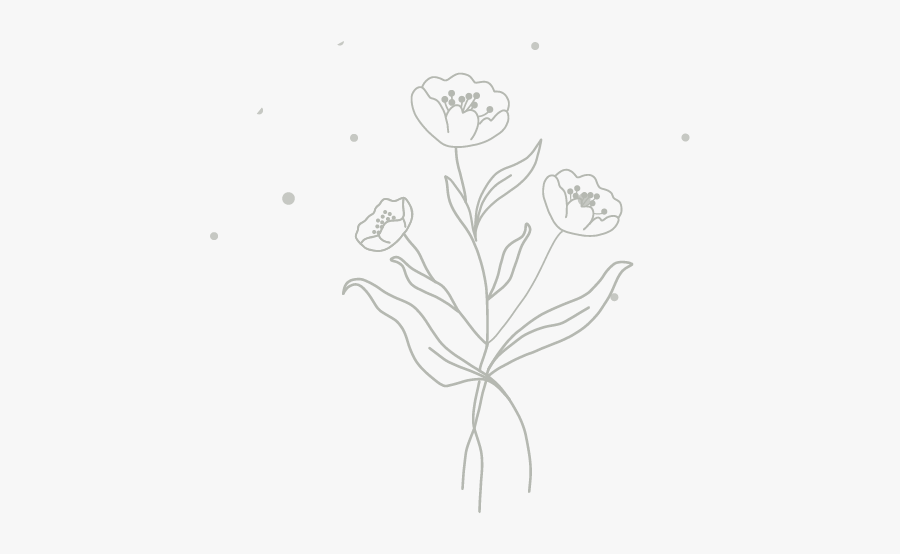 Sketch, Transparent Clipart