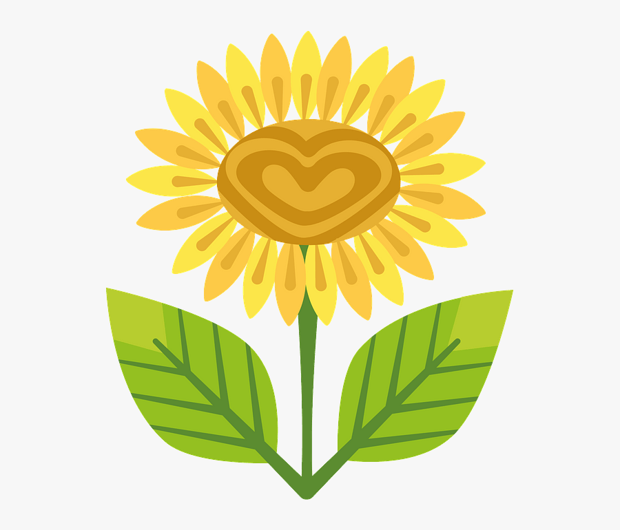 Sunflower Plant Cartoon, Transparent Clipart