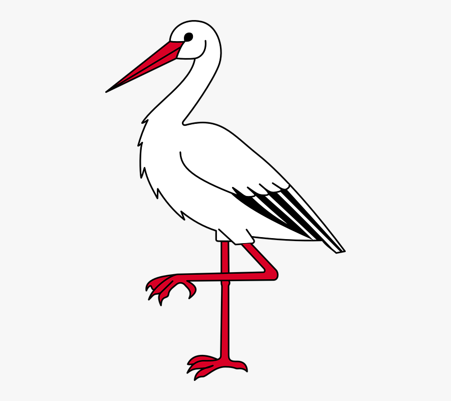 Ibis Bird Long - Ibis Clipart, Transparent Clipart