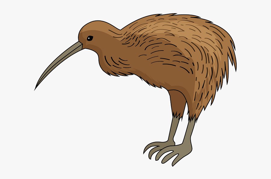 Ibis, Transparent Clipart