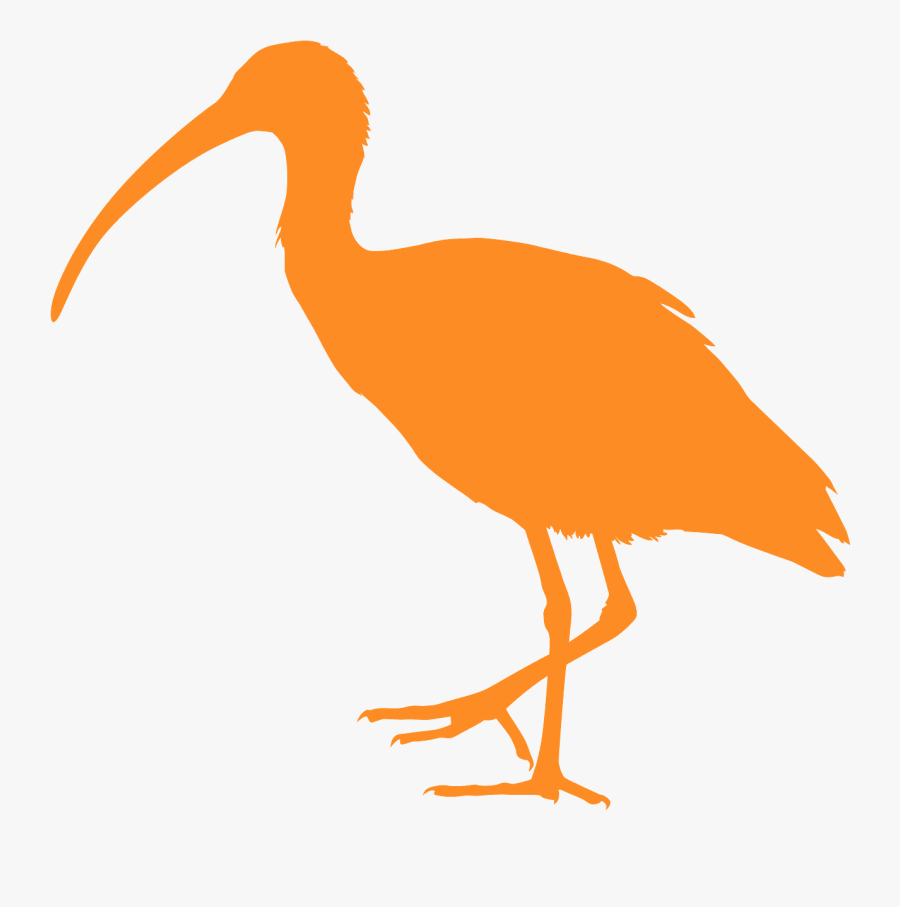 Ibis Silhouette, Transparent Clipart