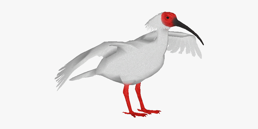 Clip Art Ibis Dacentru Maks Zt - Zt2 Download Library Birds, Transparent Clipart
