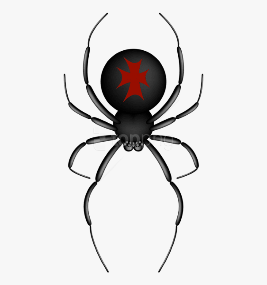 Widow-spider - Transparent Background Cartoon Spider, Transparent Clipart