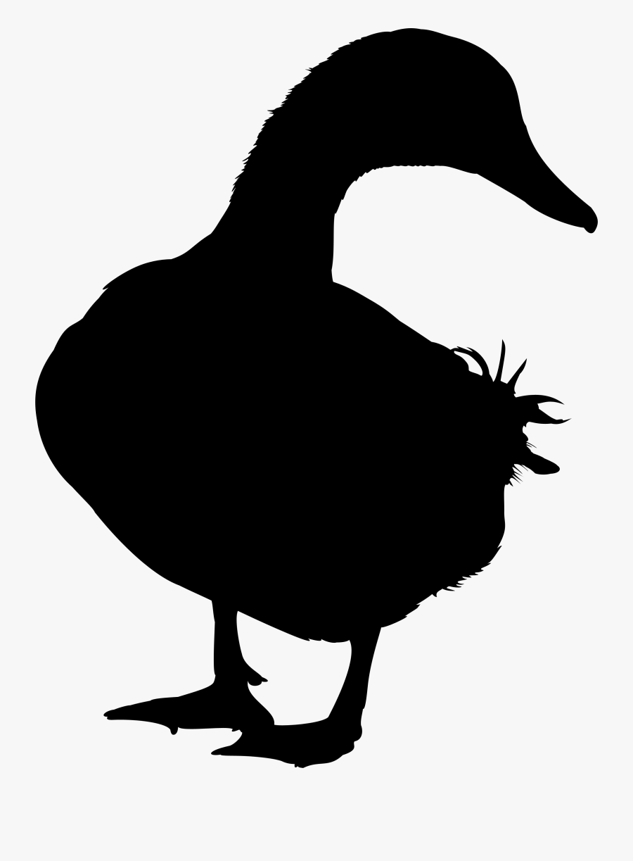 Duck Goose Silhouette Vector Graphics Image - Vector Duck Silhouette Png, Transparent Clipart