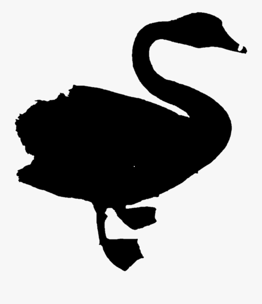 Duck Goose Clip Art Fauna Silhouette - Black Swan, Transparent Clipart