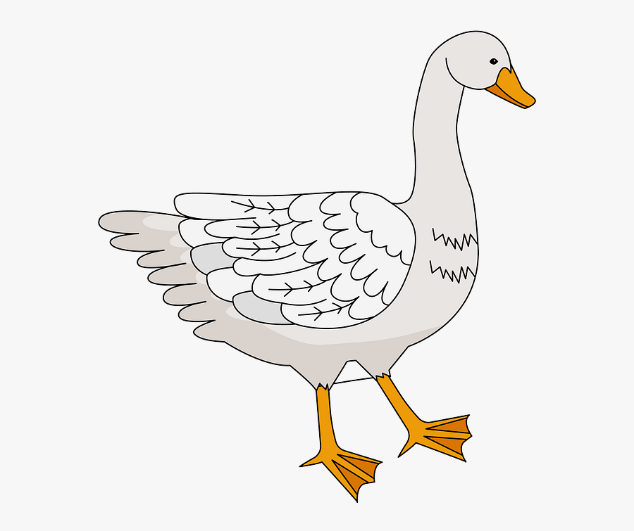 Goose, Transparent Clipart