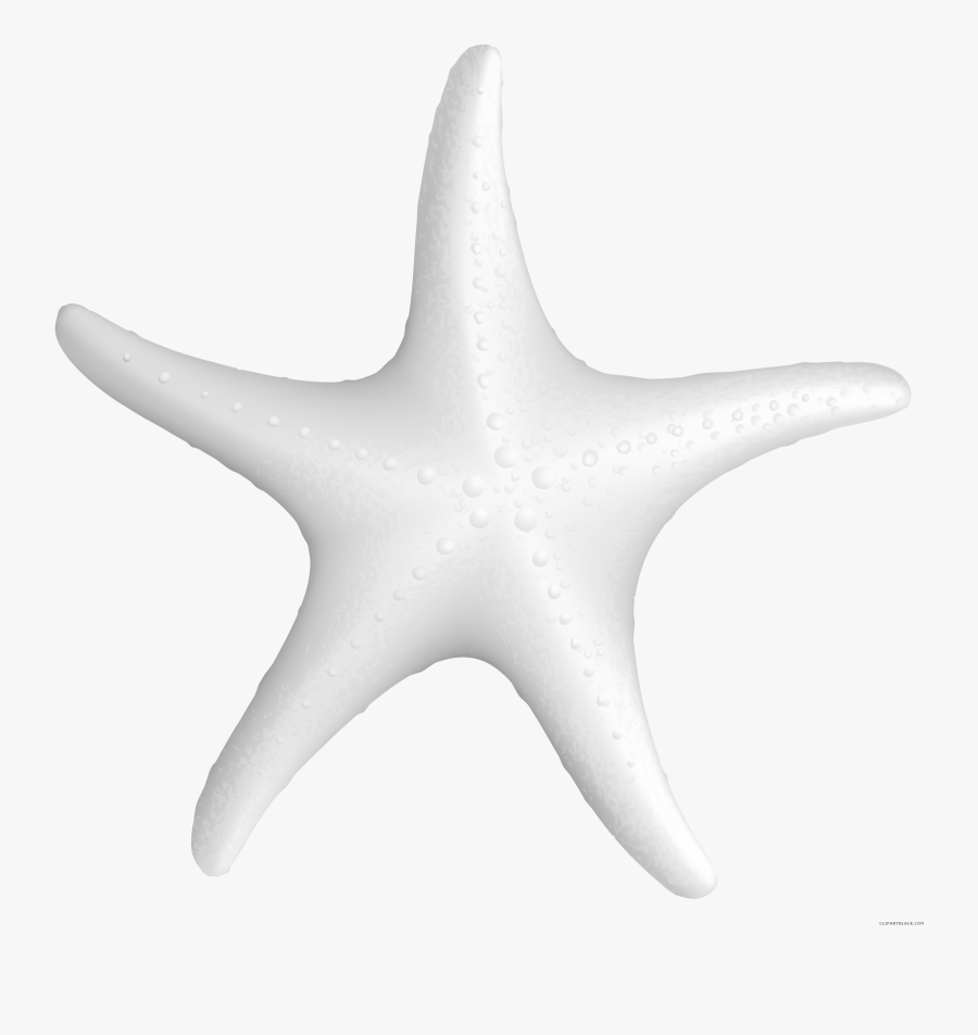 Starfish Clipart Black And White - Starfish Clipart, Transparent Clipart