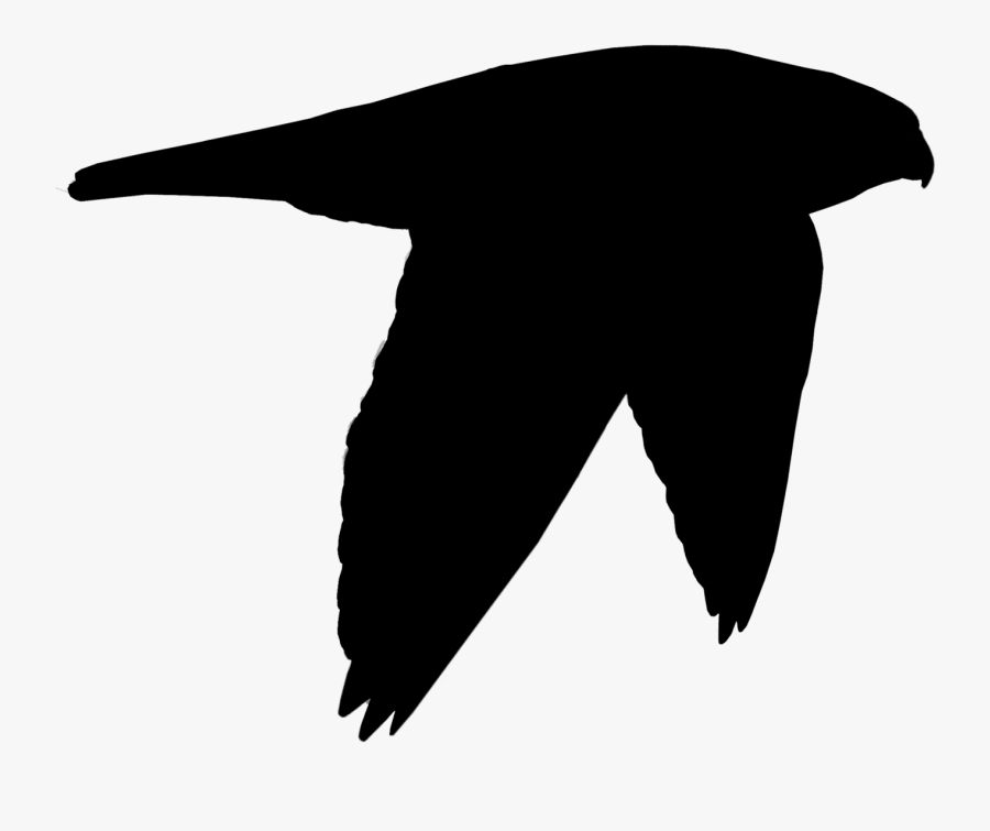 Beak Clip Art Black Bird Silhouette - Illustration, Transparent Clipart
