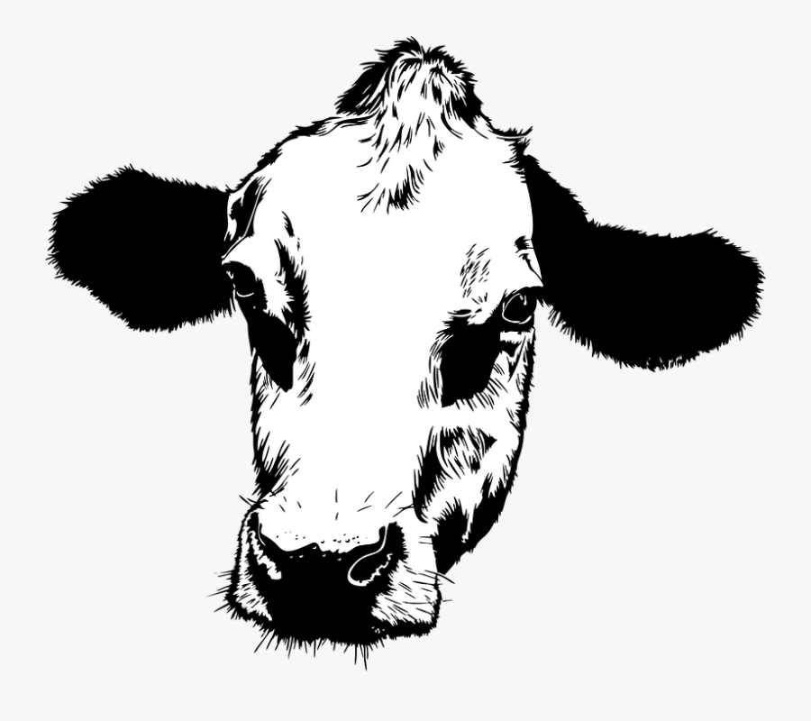 Cow Farm Livestock - Quotes On Cow, Transparent Clipart