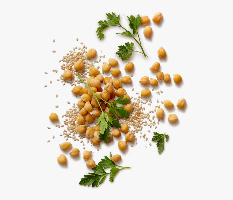 Sabra Story - Chickpea Garbanzo Bean Transparent, Transparent Clipart
