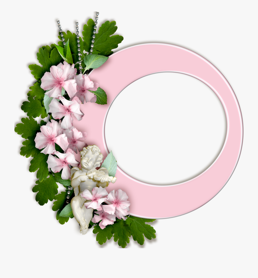 Jasmine, Transparent Clipart