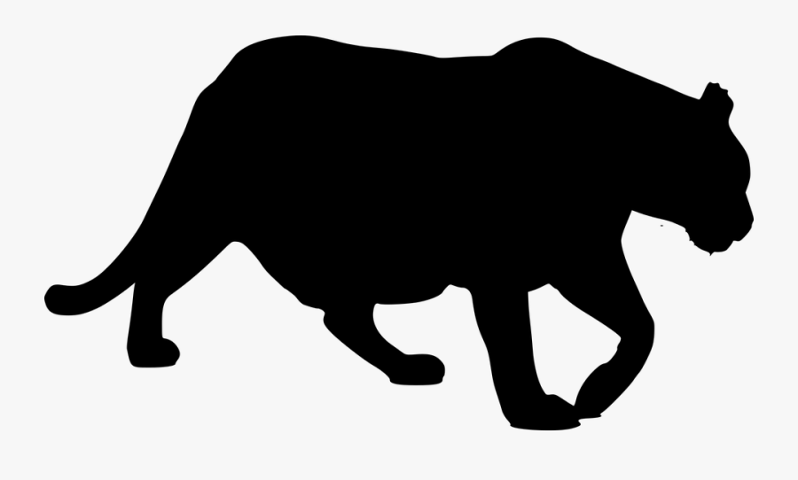 Larger Clipart Predation - Tiger, Transparent Clipart