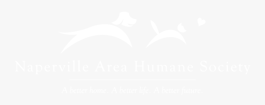 Johns Hopkins Logo White, Transparent Clipart