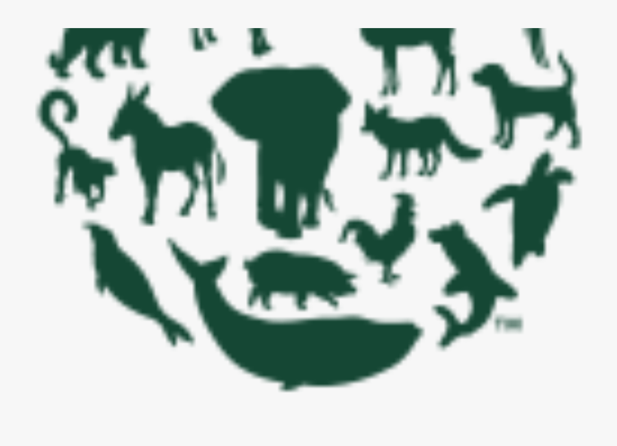 Donation Clipart Animal Welfare - Humane Society International, Transparent Clipart