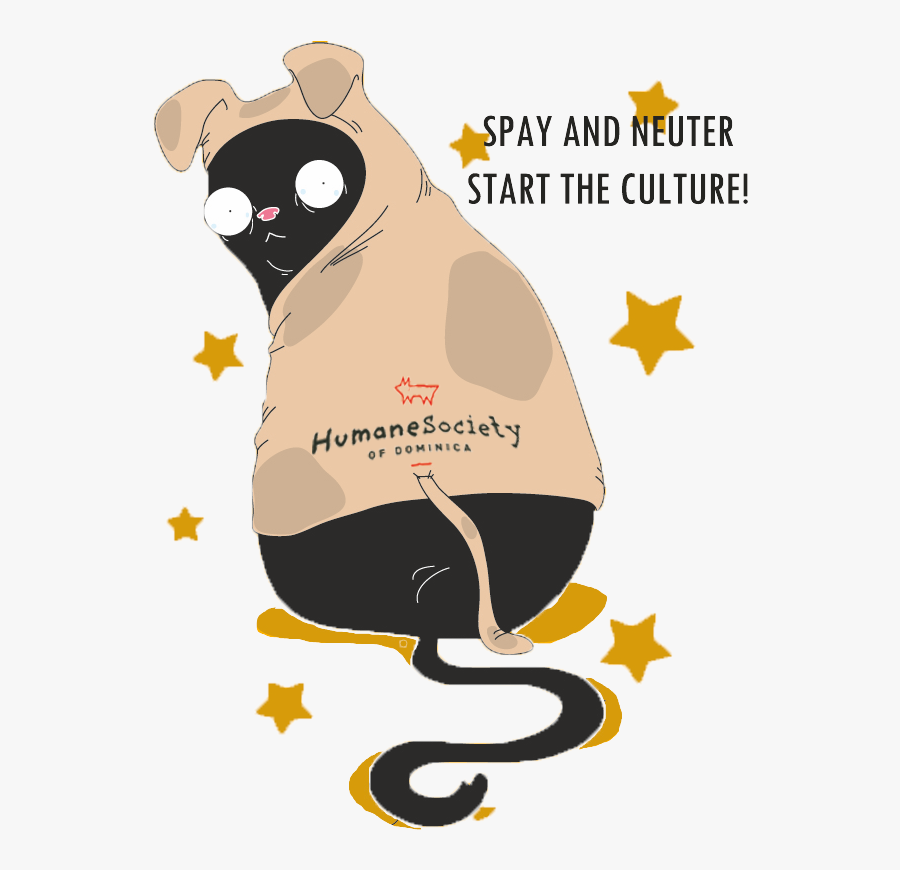 Transparent Spay And Neuter Clipart - Cluster Of Stars Clipart, Transparent Clipart