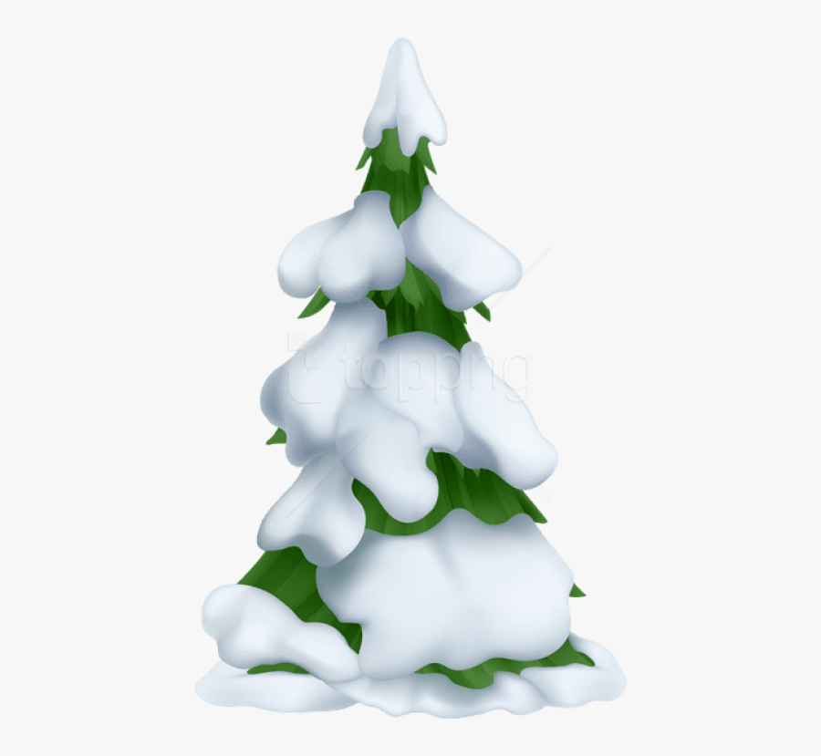 Christmas Tree,christmas Decoration,colorado Family,pine,interior - Christmas Tree Type Png, Transparent Clipart