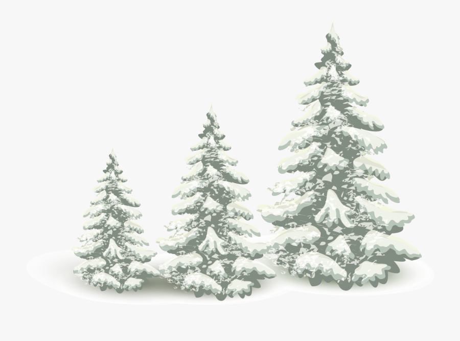 Falling Snow Pine Tree 1240*1143 Transprent Png Free - Tree Snow Transparent Background, Transparent Clipart