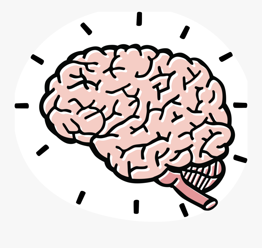 Brain That Changes Itself E Book, Transparent Clipart