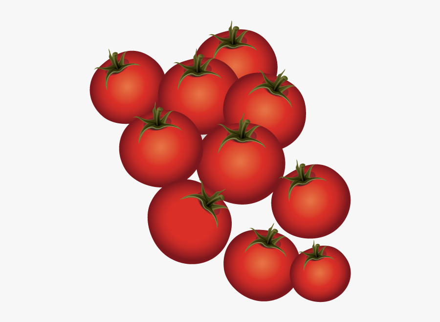 Plum Tomato Bush Tomato - Tomato, Transparent Clipart