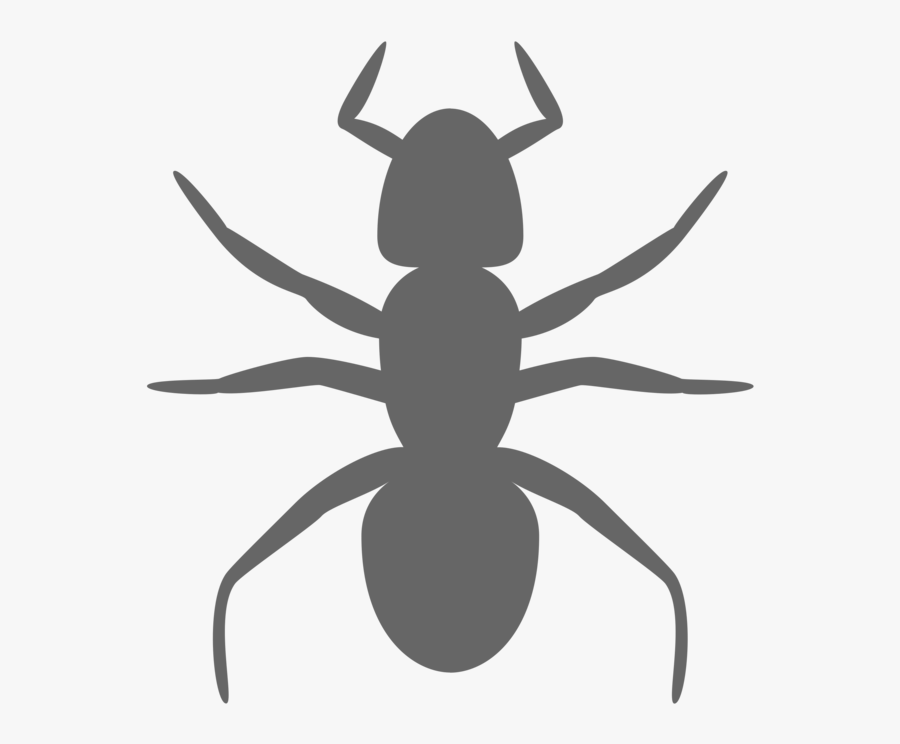 Fly,silhouette,symbol - Ant Clip Art, Transparent Clipart