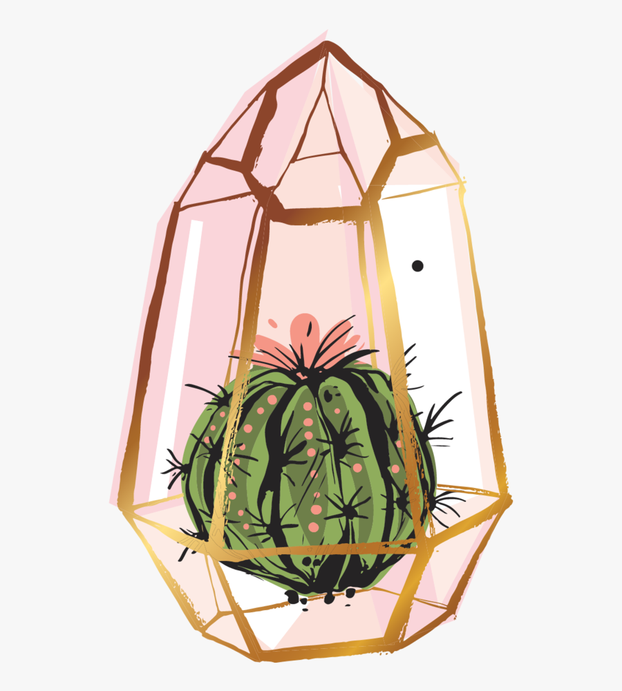 Succulent Plant, Transparent Clipart