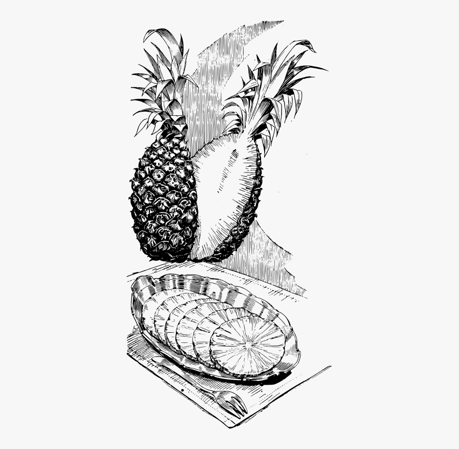 Sliced Pineapple - Pineapple, Transparent Clipart