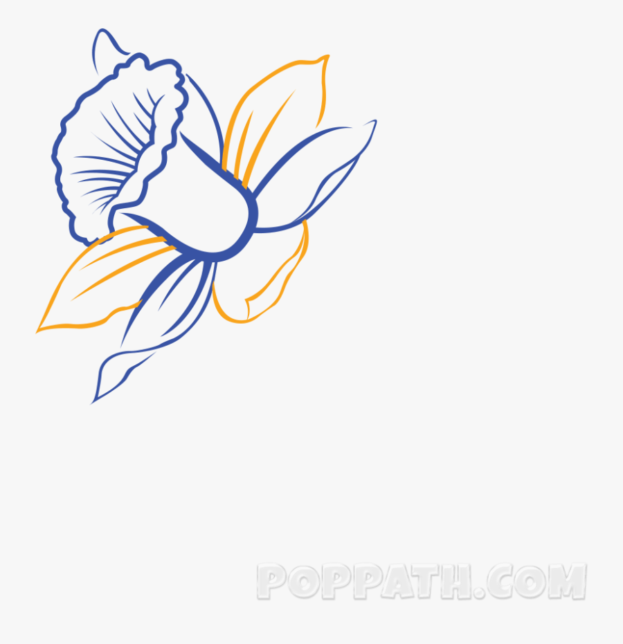 Daffodils Drawing Sketch - Daffodil Drawing Art, Transparent Clipart