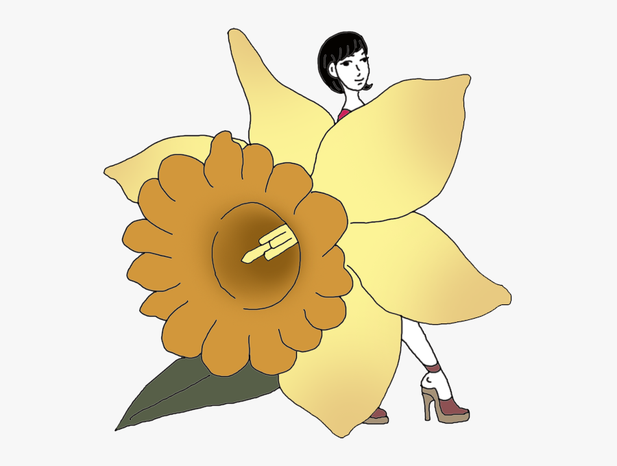 Daffodil - Illustration, Transparent Clipart