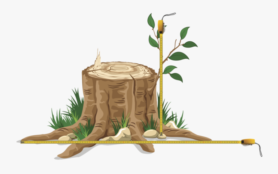 Tree Cut Down Clipart, Transparent Clipart