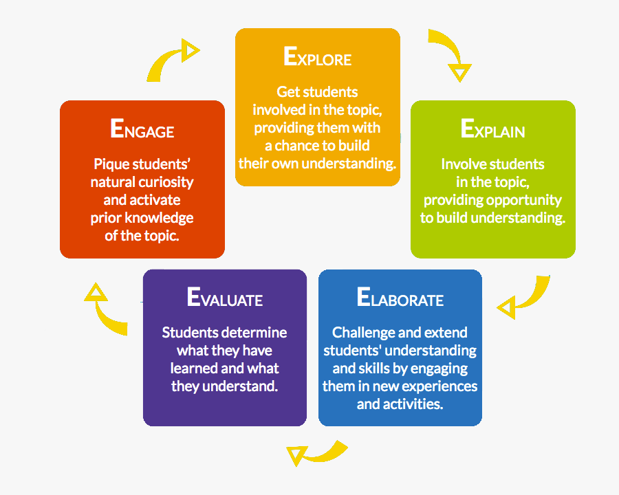 Statistical Graphics, Transparent Clipart