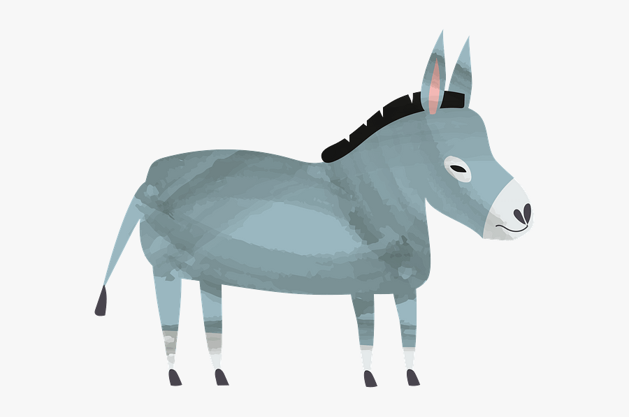 Burro, Transparent Clipart