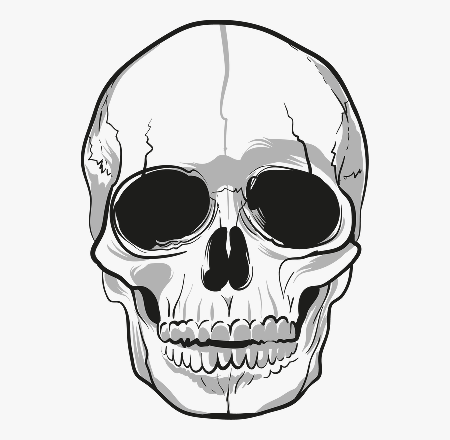 Picture - Png Transparent Skull Png, Transparent Clipart
