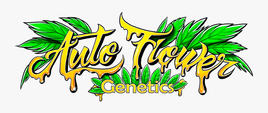 Check Back Soon, Transparent Clipart