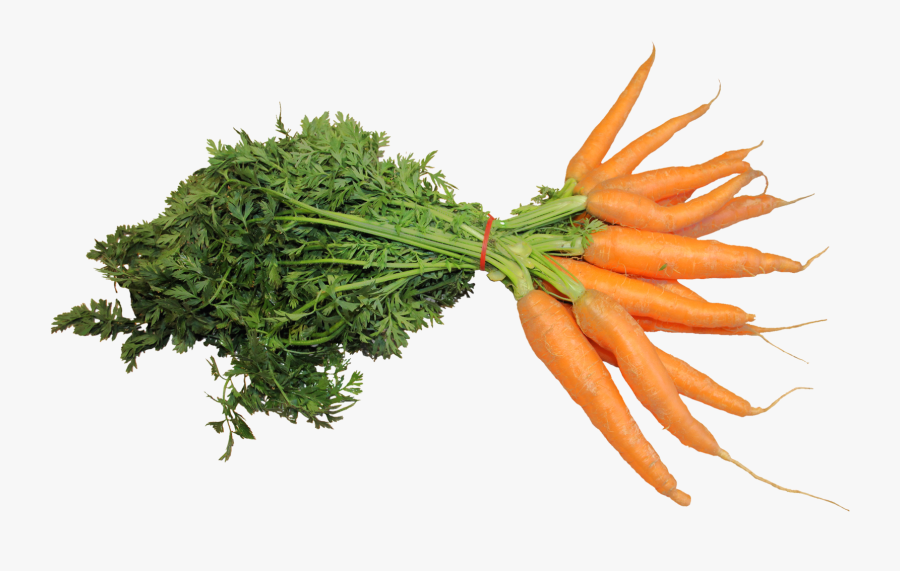 Carrot Vegetable Png - Fresh Carrot Png, Transparent Clipart