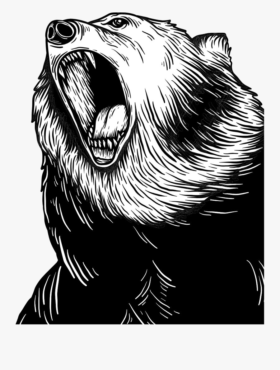 Investment Bull Bear Fighting, Transparent Clipart