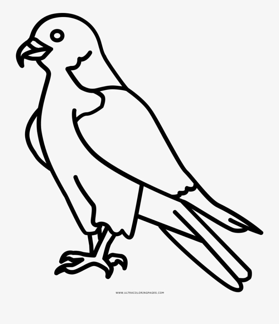 Coloring Book Beak Transprent Png - Easy Peregrine Falcon Drawing, Transparent Clipart