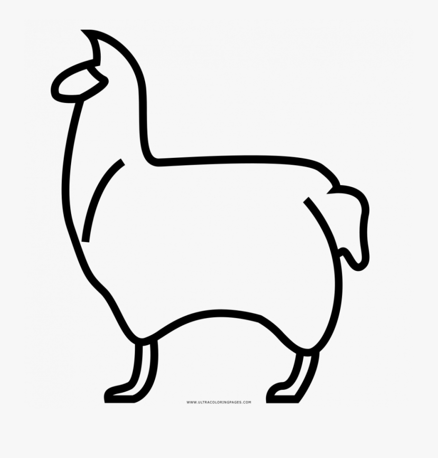 Coloring Book, Transparent Clipart