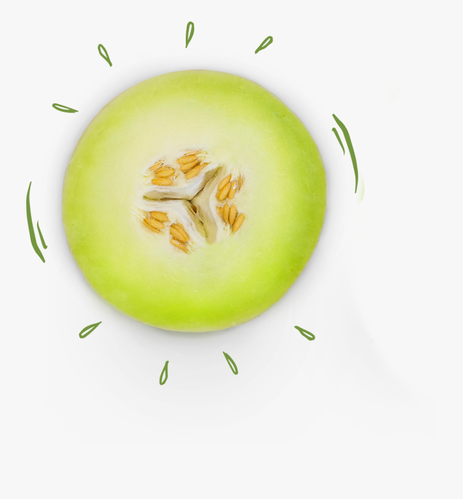 Honeydew, Transparent Clipart